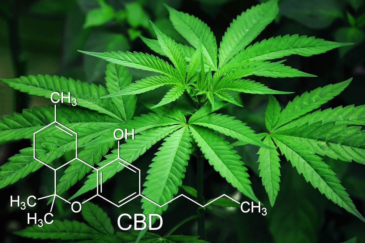 Cannabidiol (CBD) could be a new antibiotic